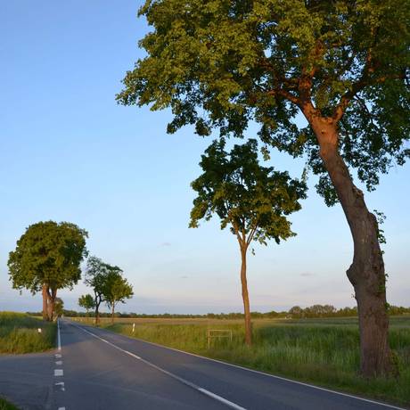 Mobilität - cc-by Marketingbüro Wendland.Elbe 