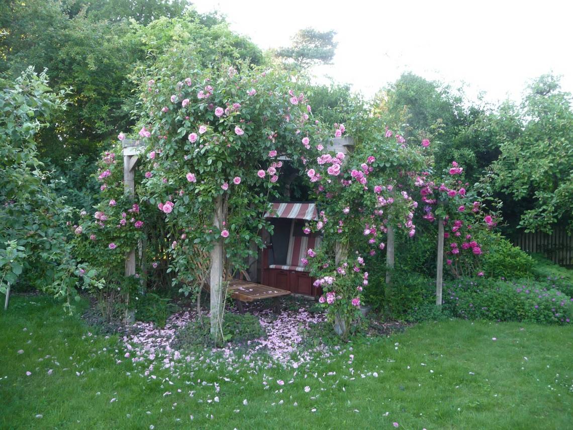 Rosengarten (c) U.G. - cc-by privat 